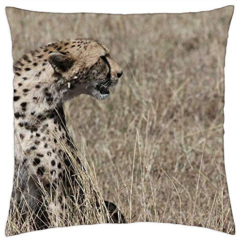 LESGAULEST Throw Pillow Cover -18x18 inch- - Cheetah Cat Predator Big Cat Cat Face Feline LESGAULEST Throw Pillow Cover -18x18 inch- - Cheetah Cat Predator Big Cat Cat Face Feline