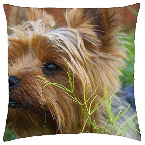 LESGAULEST Throw Pillow Cover -18x18 inch- - Dog Canine Terrier Pet Animal Cute Puppy LESGAULEST Throw Pillow Cover -18x18 inch- - Dog Canine Terrier Pet Animal Cute Puppy