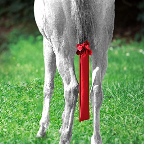 Harrison Howard Silk Shine Horse Tail Bag Horse Tail Guard-Crimson Red