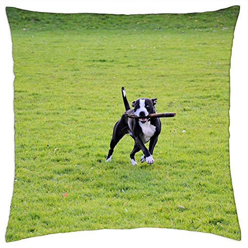 LESGAULEST Throw Pillow Cover -18x18 inch- - Dog Playing Park Puppy Cute Canine Pet Animal 1 LESGAULEST Throw Pillow Cover -18x18 inch- - Dog Playing Park Puppy Cute Canine Pet Animal 1