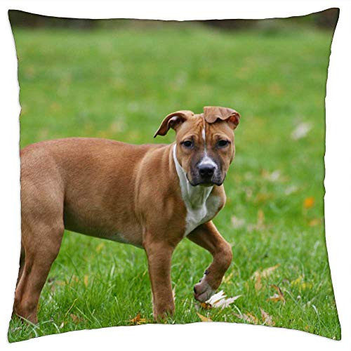 LESGAULEST Throw Pillow Cover -18x18 inch- - Dog Park Nature Dog Park Animal Pet Grass Young