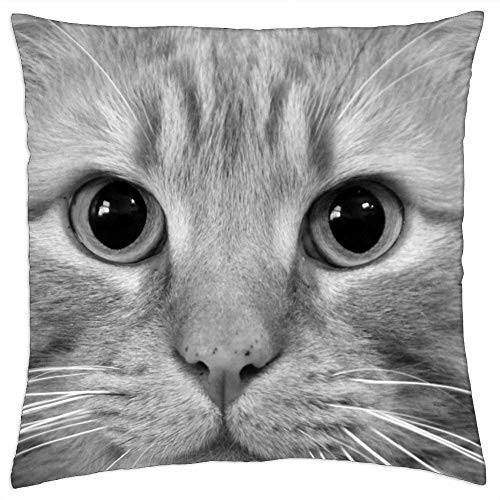 LESGAULEST Throw Pillow Cover -18x18 inch- - Cat Kitty Feline Cute Pet Adorable Face