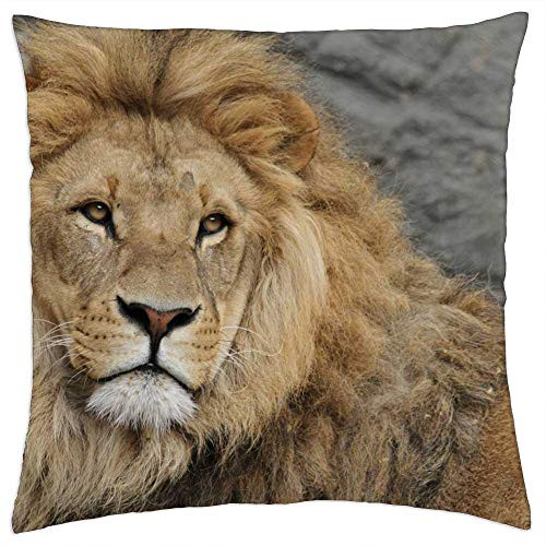 LESGAULEST Throw Pillow Cover -16x16 inch- - Lion Lion Mane Cat Big Cat Safari Wildcat