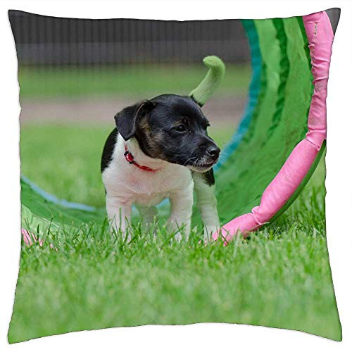 LESGAULEST Throw Pillow Cover -18x18 inch- - Jack Russel Puppy Puppy Young Dog Small Dog Sweet