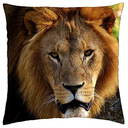 LESGAULEST Throw Pillow Cover -18x18 inch- - Lion Predator Dangerous Mane Cat Male Zoo 14