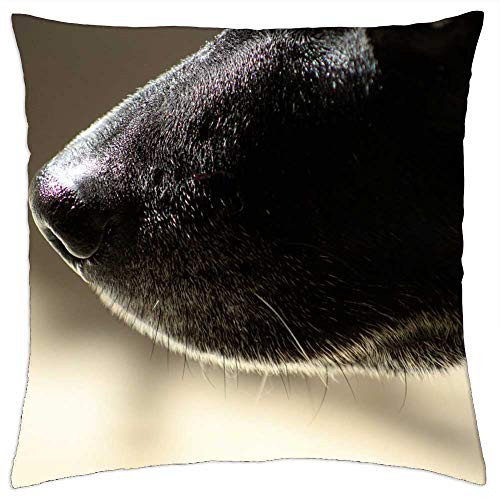 LESGAULEST Throw Pillow Cover -18x18 inch- - Dog Canine Animal Puppy Pet LESGAULEST Throw Pillow Cover -18x18 inch- - Dog Canine Animal Puppy Pet