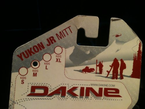 Dakine Scout Snow Mitt - Rincon - Large