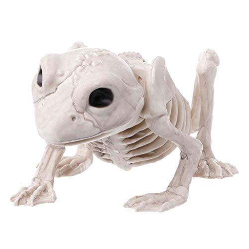 HELYZQ Halloween Decoration Animal Skeleton Creepy Spider Bat Mouse Lizard Bones Props