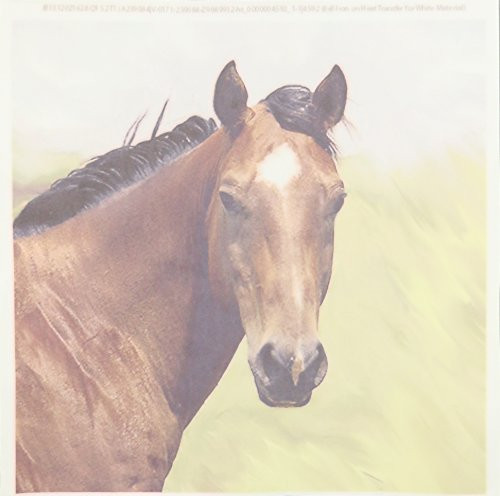 3dRose ht_4592_1 Paint Horse Portrait-Iron on Heat Transfer for White Material 8 by 8-Inch 3dRose ht_4592_1 Paint Horse Portrait-Iron on Heat Transfer for White Material 8 by 8-Inch