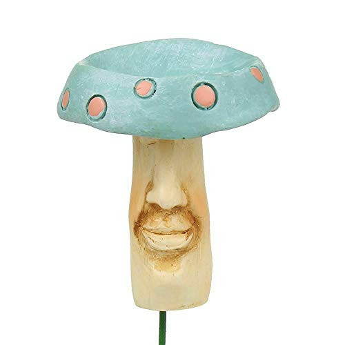 ShopForAllYou Figurines and Statues Miniature Dollhouse Fairy Garden Mushroom Face Birdbath Pick