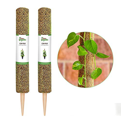 Grow Organiks 12 inch 2PK Coco Coir Pole Coir Moss Totem Pole Coir Moss Stick for Creepers Plant Support Extension  and  Climbing Indoor Plants - Pack of 2