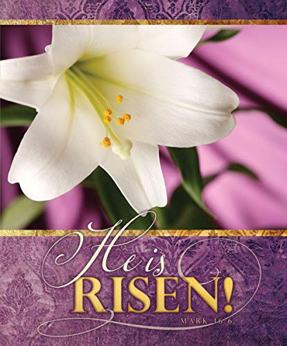 Easter Sunday Legal Bulletin -"Easter Lily - He Is Risen!" -KJV - 8.5" x 14"-Package of 100-