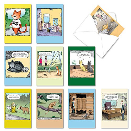 NobleWorks - 10 Assorted Happy Birthday Cards - Funny Bday Greeting Cards with Cartoons Bulk Boxed Notecard Set - Feline Funnies A2679BDG NobleWorks - 10 Assorted Happy Birthday Cards - Funny Bday Greeting Cards with Cartoons Bulk Boxed Notecard Set - Feline Funnies A2679BDG