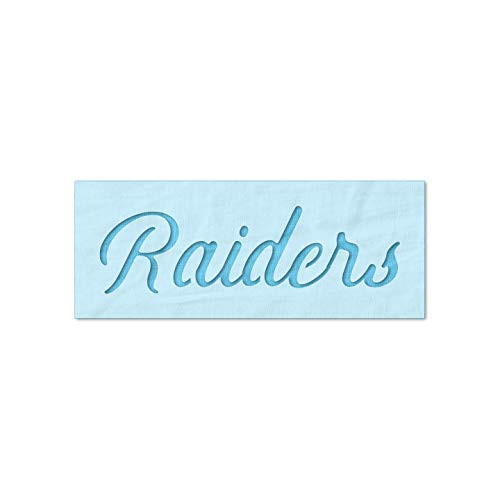 Stencil Stop Raiders Stencil - Reusable for DIY Projects Painting Drawing Crafts - 14 Mil Mylar Plastic -9 x 2.63 inches-