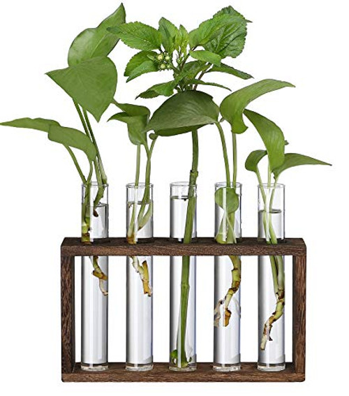 Yistao Glass Planter Propagation Station Propagation Tubes Wall Hanging-Tabletop Test Tube Planter Propagation Planters with Wood Stand Plant Terrarium for Hydroponic Plants Cuttings Holder Yistao Glass Planter Propagation Station Propagation Tubes Wall Hanging-Tabletop Test Tube Planter Propagation Planters with Wood Stand Plant Terrarium for Hydroponic Plants Cuttings Holder