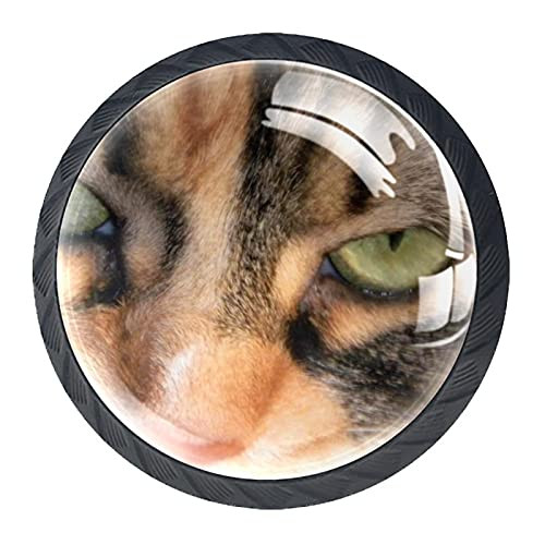 Drawer Knob Pull Handle 4 Pieces Crystal Glass Cabinet Drawer Pulls Cupboard KnobsStriped Cat