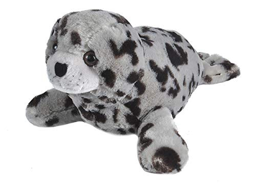 Wild Republic Harbor Seal Plush, Stuffed Animal, Plush Toy, Gifts for Kids, Cuddlekins 12 Inches