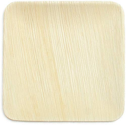 Allycafe Biodegradable Palm Leaf Plates - 10 Inch Square - Elegant  and  Sturdy Like Bamboo Disposable Plates - Eco-Friendly  and  Compostable Dinnerware - 25 pack