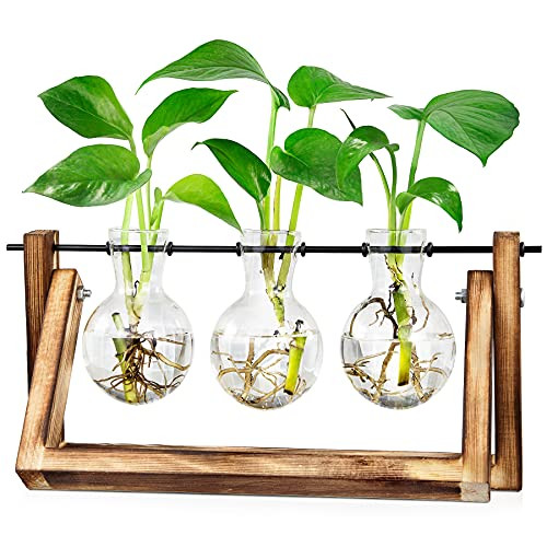 Waytoeast Desktop Propagation Stations Air Plant Terrarium Bulb Vase with Swing Wooden Propagation Stand Glass Planter for Hydroponics Plants Office Home Garden Decor - 3 Bulb Vase