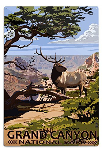 Lantern Press Grand Canyon National Park Arizona Elk and South Rim 36687 -6x9 Aluminum Wall Sign Wall Decor Ready to Hang-
