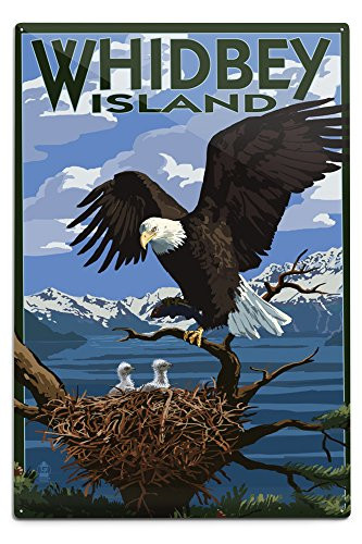 Lantern Press Whidbey Island Washington Eagle and Chicks 42386 -6x9 Aluminum Wall Sign Wall Decor Ready to Hang-