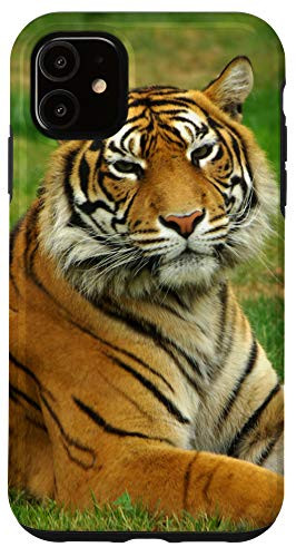 iPhone 11 Tiger Face Wild Animal Big Cat Gift Case