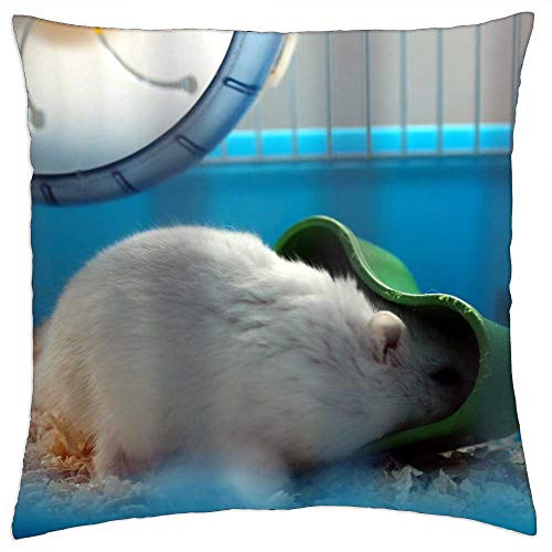 LESGAULEST Throw Pillow Cover -24x24 inch- - Hamster Pet Cage Rodent Small Nature Eating LESGAULEST Throw Pillow Cover -24x24 inch- - Hamster Pet Cage Rodent Small Nature Eating
