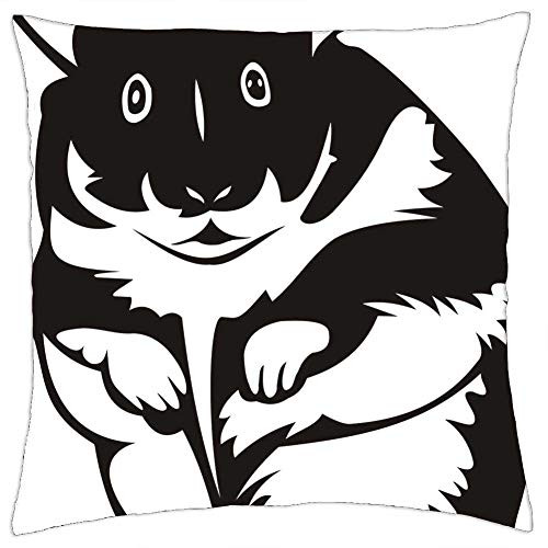 LESGAULEST Throw Pillow Cover -24x24 inch- - Hamster Rodent Mammal Animal Pet No Background LESGAULEST Throw Pillow Cover -24x24 inch- - Hamster Rodent Mammal Animal Pet No Background