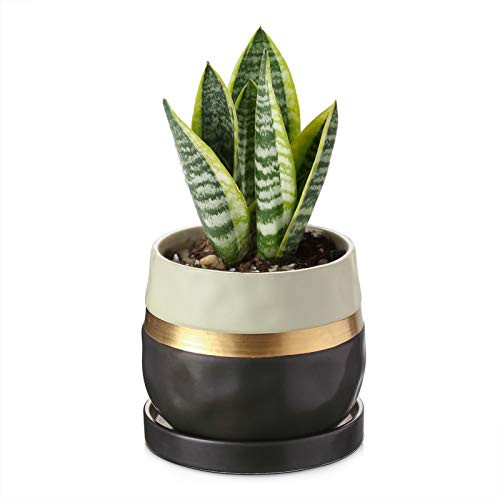 ZONESUM Planter 5.2 Inch Flower Pot with Drainage Hole and Saucer Plant Pot for Indoor and Outdoor- Plants Not Included
