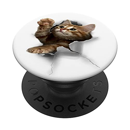 Cute Little Orange Cat PopSockets PopGrip- Swappable Grip for Phones  and  Tablets
