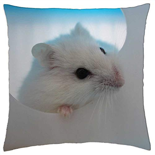 LESGAULEST Throw Pillow Cover -24x24 inch- - Hamster Rodent Animal Pet Nature Favorite Small LESGAULEST Throw Pillow Cover -24x24 inch- - Hamster Rodent Animal Pet Nature Favorite Small