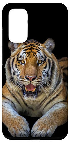 Galaxy S20 Tiger Picture Wild Animal Photo Cover Big Cat Gift Case