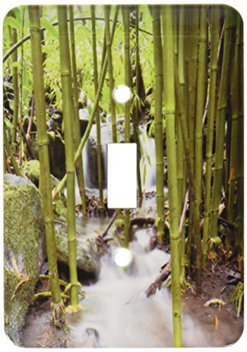 3dRose LLC lsp_89187_1 Flora Bamboo Forest Waterfall Haleakala Np Maui Us10 Jgs0016 Jim Goldstein Single Toggle Switch