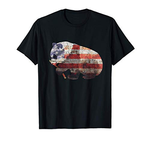 Panda American Flag 4th of July T-Shirt Eating Bamboo T-Shirt Panda American Flag 4th of July T-Shirt Eating Bamboo T-Shirt