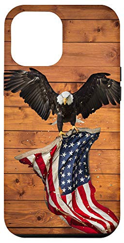 iPhone 12 Pro Max American Flag Wood USA Flag American Eagle Case