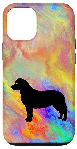 iPhone 12-12 Pro Cute Dog Labrador Tie Dye Paint Blue Red Rainbow Pattern Case