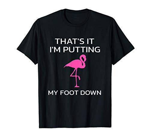 That's It I'm Putting My Foot Down Funny Flamingo Lover Men T-Shirt