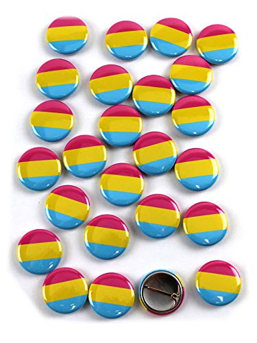 LGBTQ plus Pansexual Pride Flag Pinback Buttons - 1 Inch Round - 25 Pack