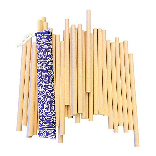 Vie Gourmet Disposable Bamboo Straws Bundle 197x6mm 100pcs Plus 197x10mm 50pcs