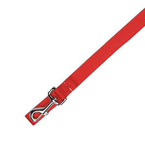 Zack  and  Zoey Basic Nylon Dog Leash 4-Feet x 5-8-Inch Lead Tomato Red