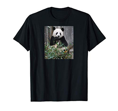 Panda Bear Eating Bamboo Endangered Species T-Shirt