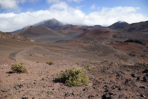 Posterazzi Hawaii Maui Haleakala The long trail ahead on the crater floor Poster Print -19 x 12-