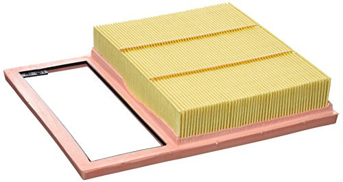 Ford Genuine Parts DG9Z-9601-A Air Filter