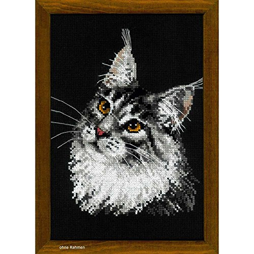 RIOLIS 1599 - Maine Coon - Counted Cross Stitch Kit 8¼" x 11¾" Zweigart 10 ct. Black AIDA 11 Colors