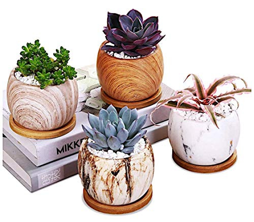 Succulent Plant Pots - AppyHut 3.8 inch Round Marbling Ceramic Succulent Planter Cactus Pot Planter Pots Flower Pot Vase Container Decorative Pots for Plants with Drainage Hole  and Bamboo Tray -Set of 4