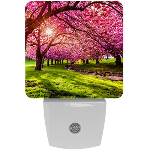 Plug-in LED Night Light with Dusk-to-Dawn Sensor for Bedroom Bathroom Kitchen Hallway Stairs Daylight White Outdoor View