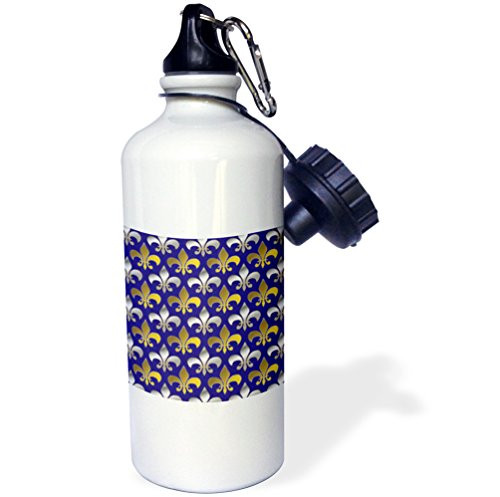 3dRose Gold and Silver Colored Fleur de lis Pattern Royal Purple Background-Sports Water Bottle 21oz  21 oz Multicolor