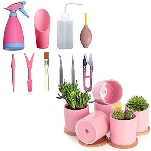 BUYMAX 10 Pieces Succulent Plant Tools Transplanting Hand Tools Mini Garden Set for Indoor Gardening Plant Care plus3.1 inch Ceramic Flower Pot 6 Pack-Pink-