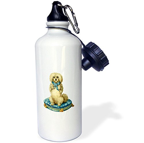 3dRose "Poodle on a Blue Pillow" Sports Water Bottle 21 oz White