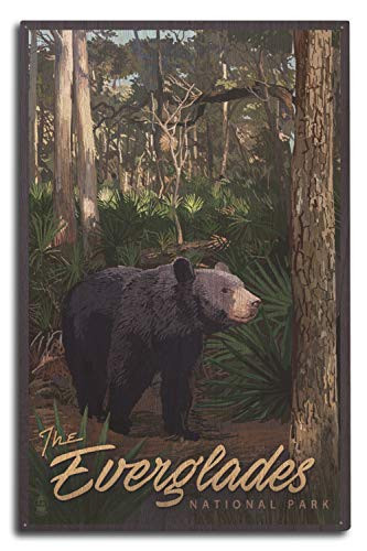 Lantern Press Everglades National Park Florida Black Bear and Hardwood Hammock -10x15 Wood Wall Sign Wall Decor Ready to Hang-